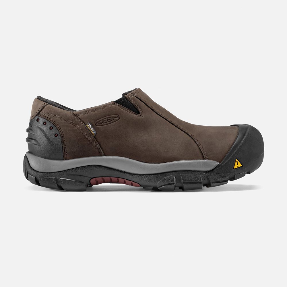 Slip-On Keen Homme Marron | Brixen Waterproof Basse | XPNJK-3561